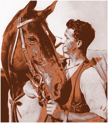 Phar Lap